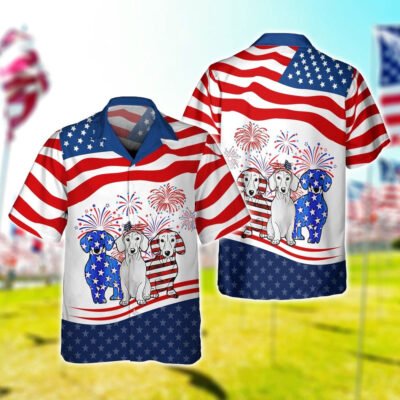 4Th Of July Hawaiian Shirts, 4Th Of July - Products Town Of Tonawanda New York - Hawaiian Shirt